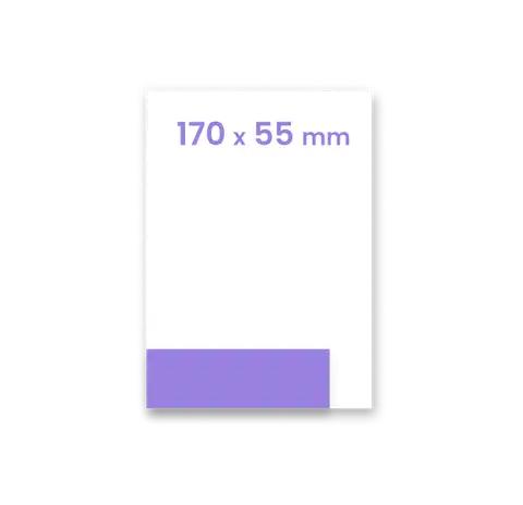 Bilet format 170 x 55 mm