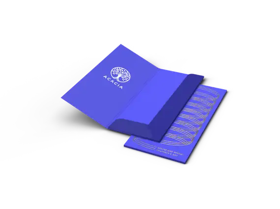 Teczki DL klasyczne Premium