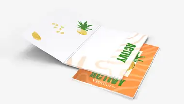 Teczki A5 klasyczne Premium