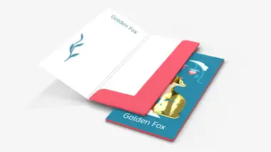 Teczki DL klasyczne Premium