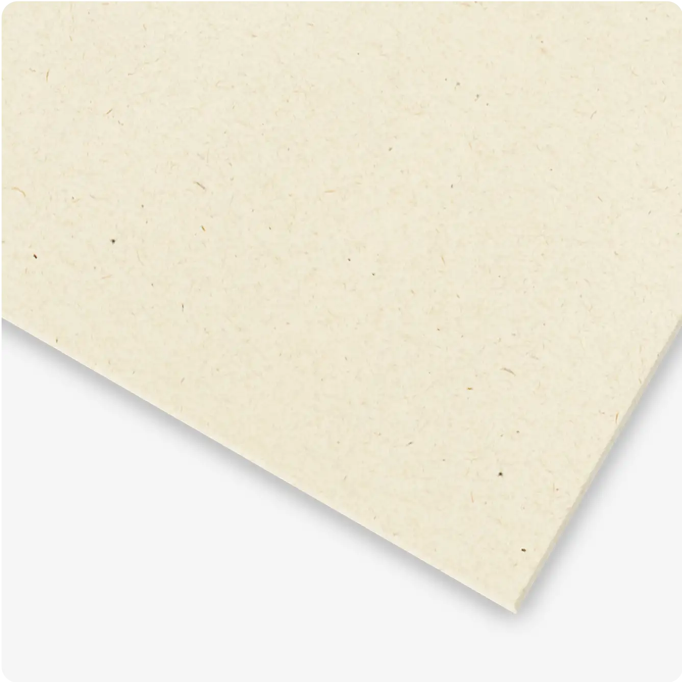 Papier Woodstock Betulla