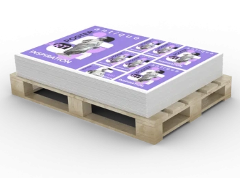 Arkusze plano - drukuj wiele format&oacute;w