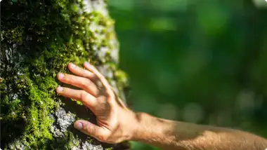 Linia EKO – z natury odpowiedzialna