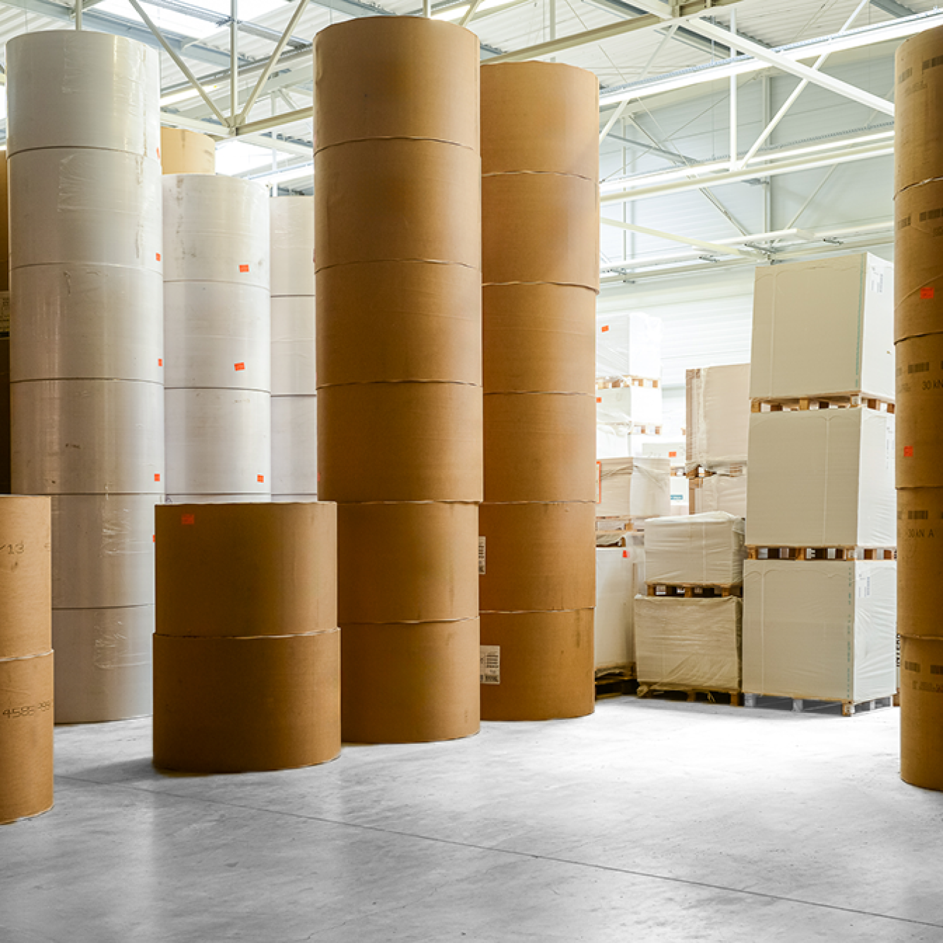 Szeroki wachlarz podłoży