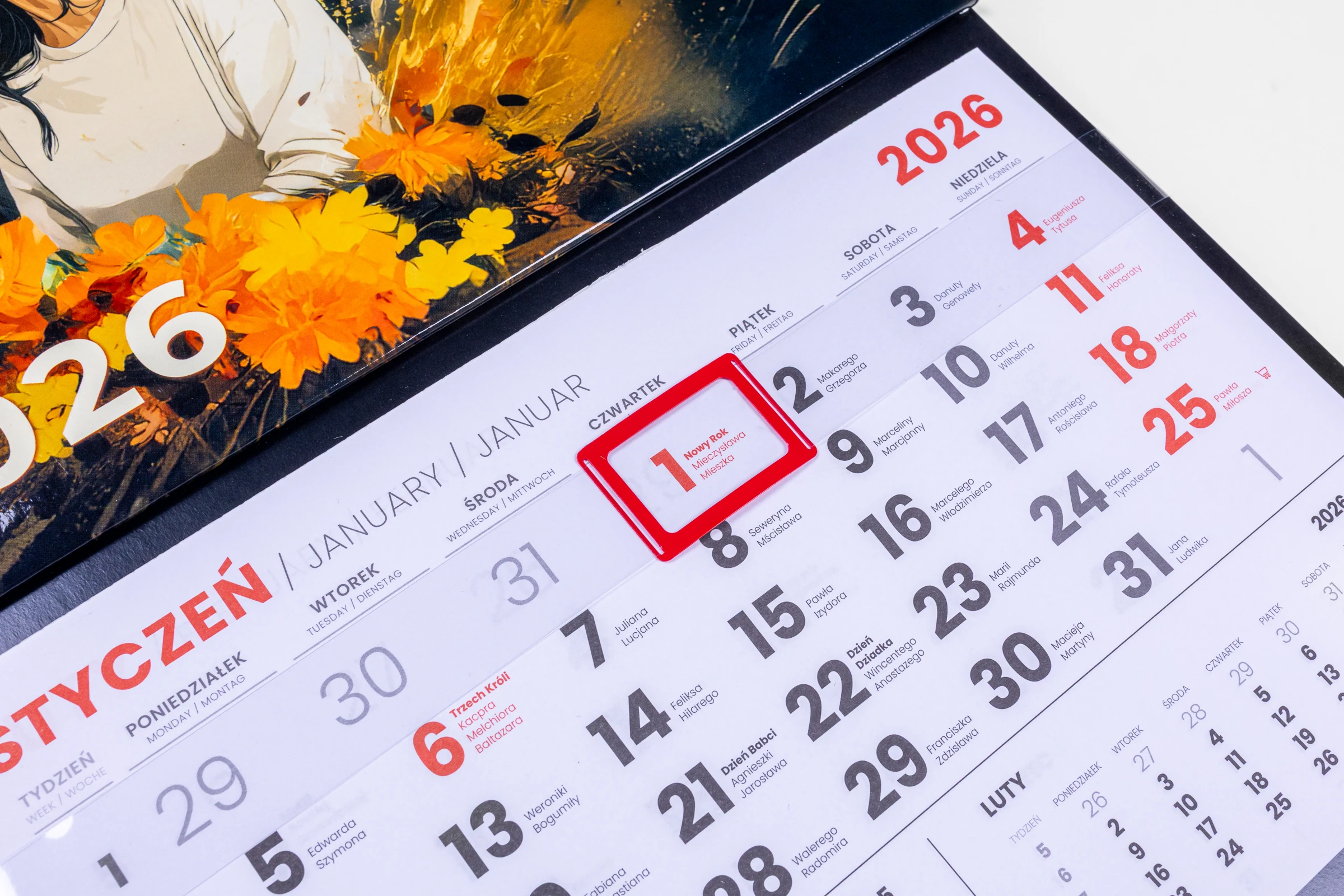 kalendarze jednodzielne główka wypukła lita + gąbka