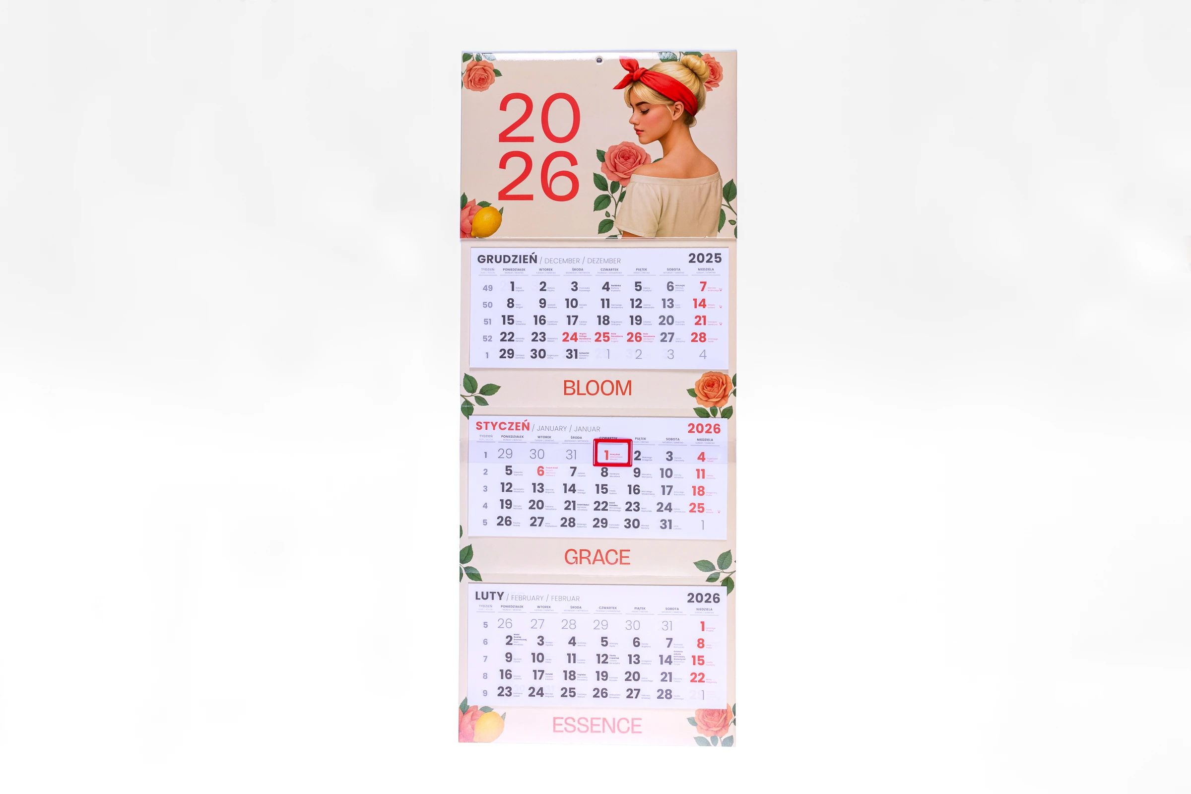 kalendarze trójdzielne główka wypukła tektura lita plus gąbka