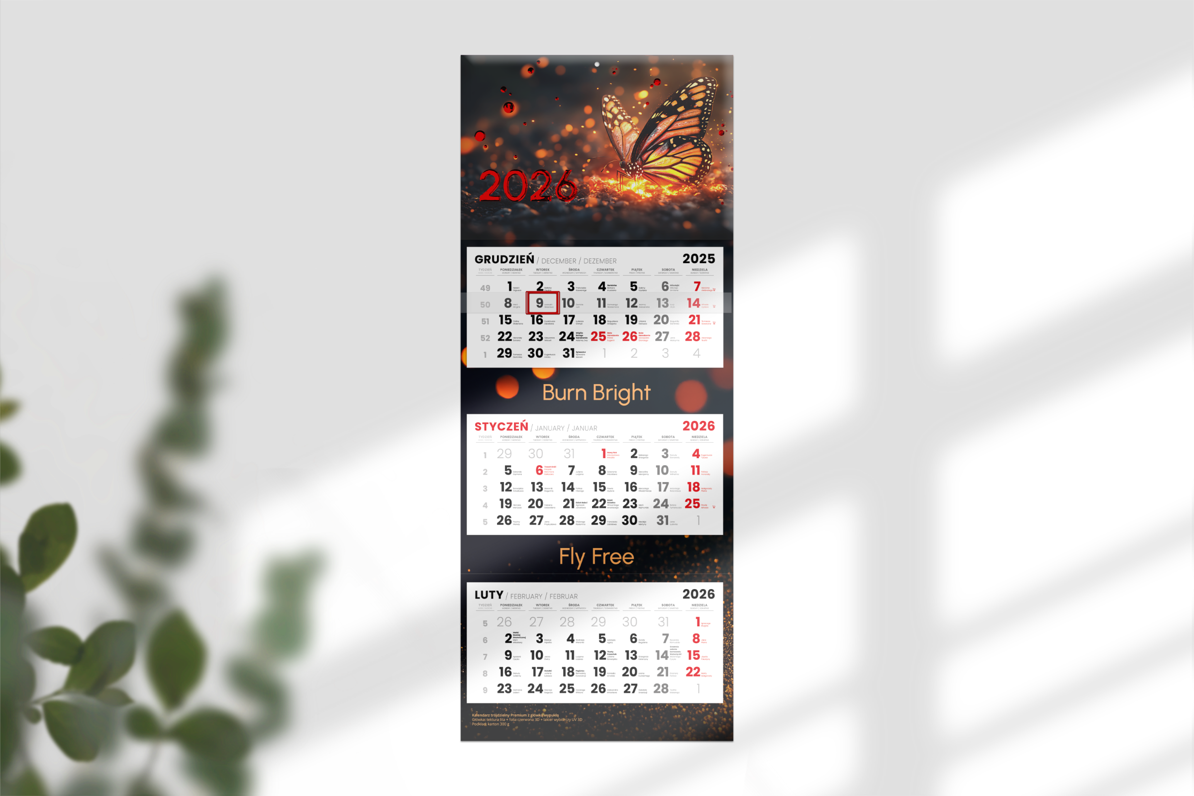 Kalendarze trójdzielne PREMIUM - główka wypukła_tektura lita