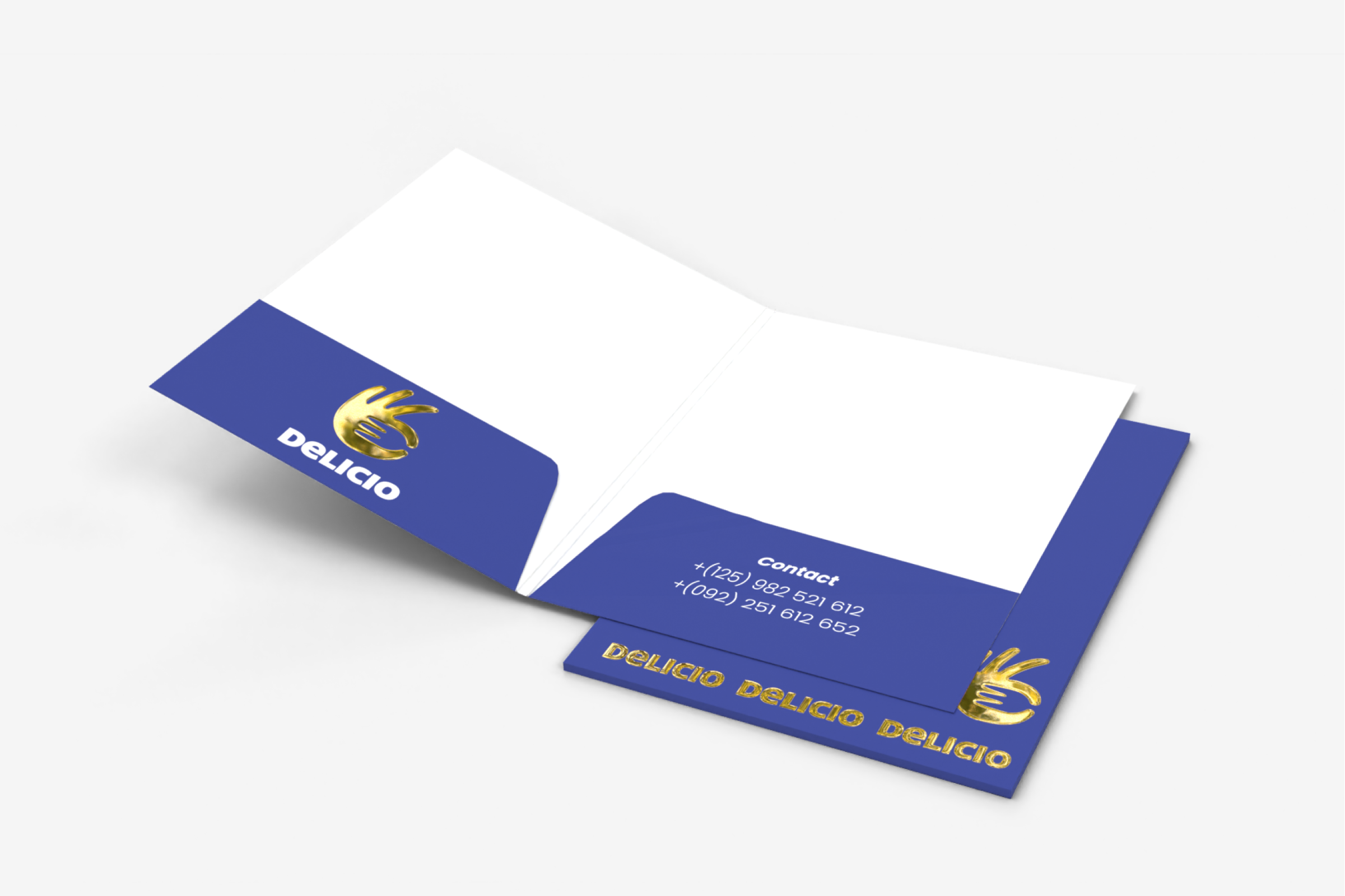 Teczki A4 dwie kieszenie Premium 3D