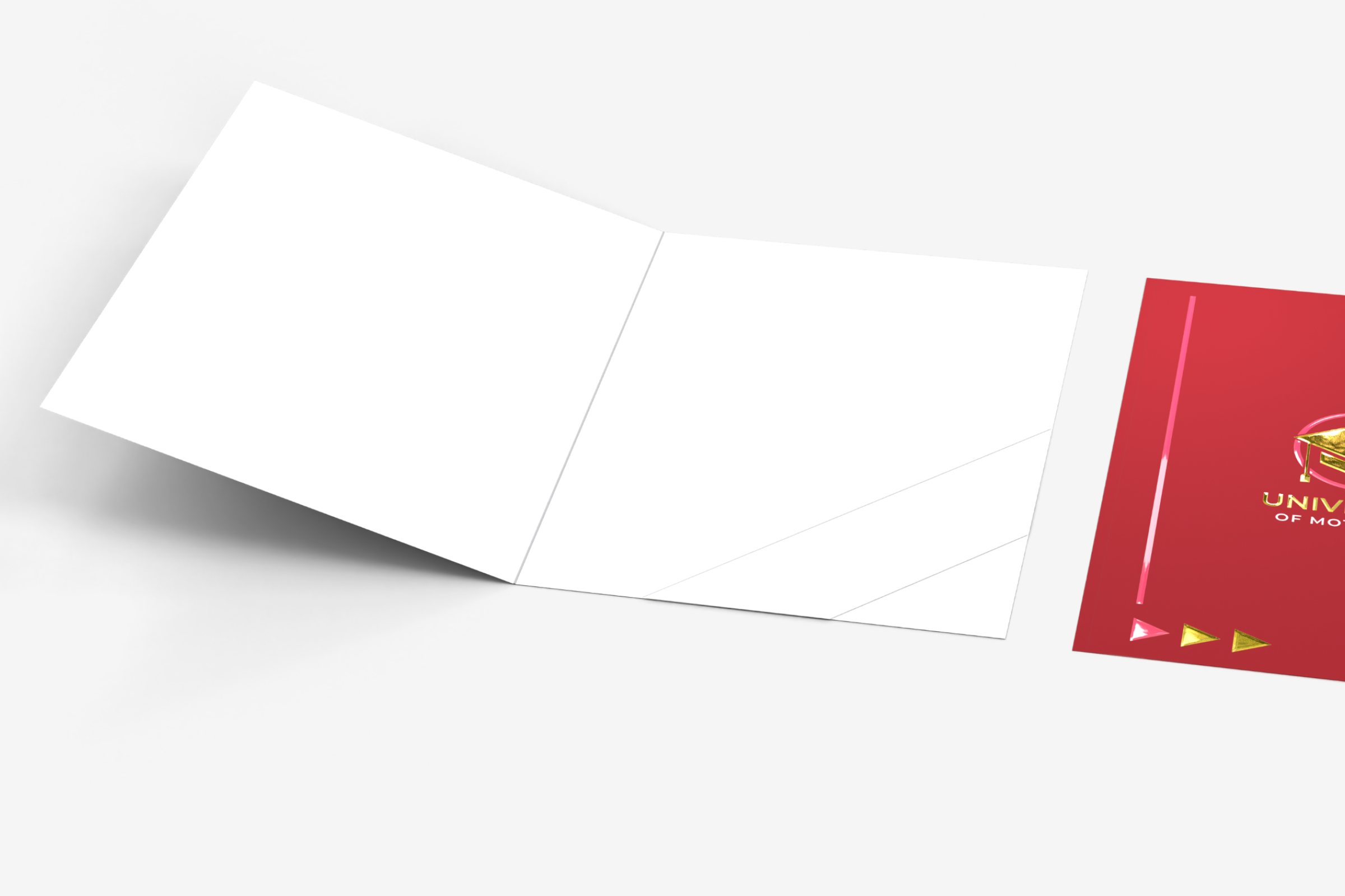 Teczki dyplomowe Premium 3D